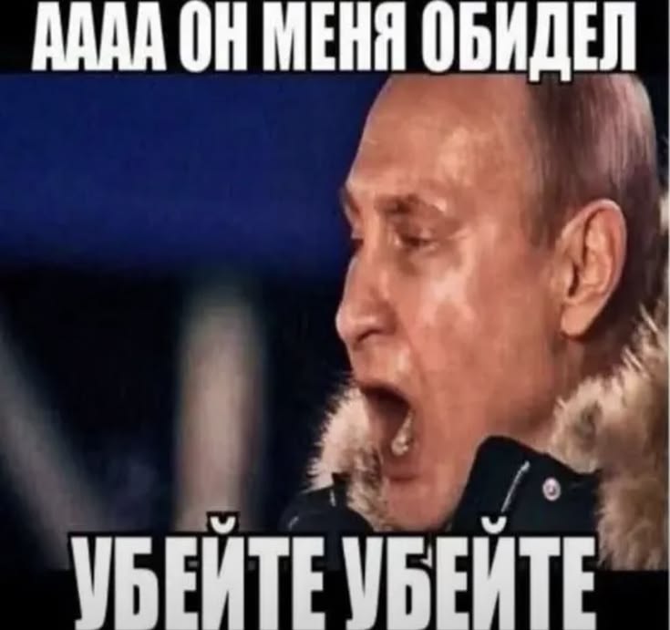 01264af7a4566559c500d344c767defb.jpg