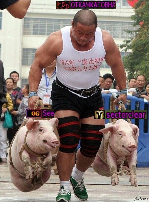 1000016067.jpg