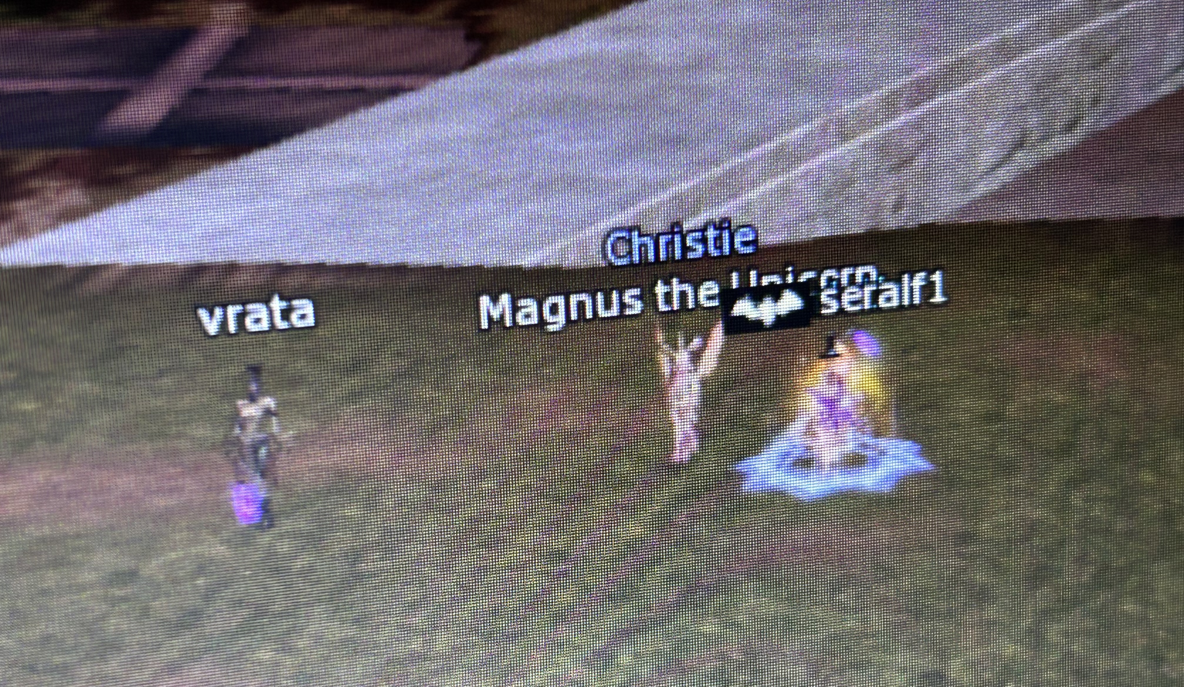 1000026137.jpg