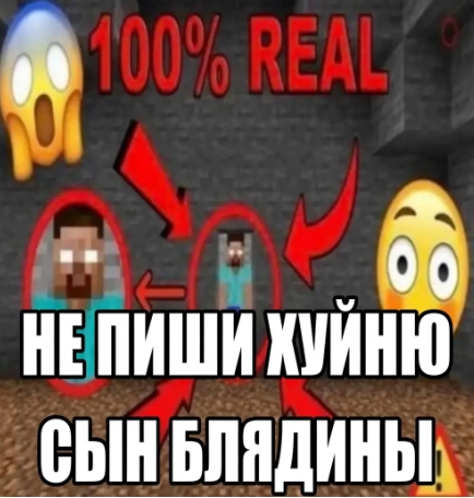 1000033239.jpg