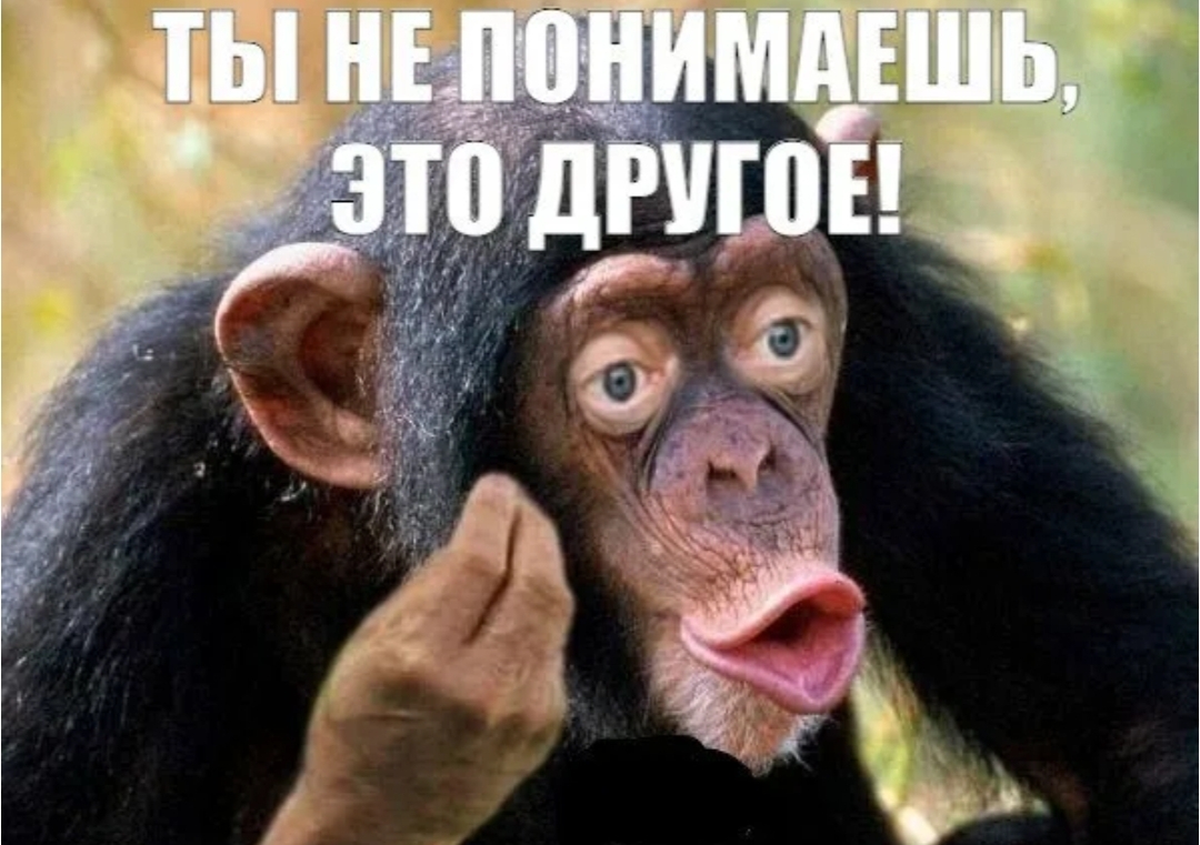 1000211040.jpg