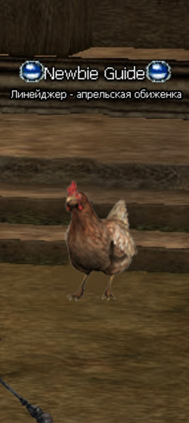 111.jpg