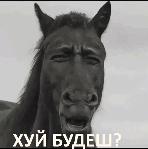 123.jpg