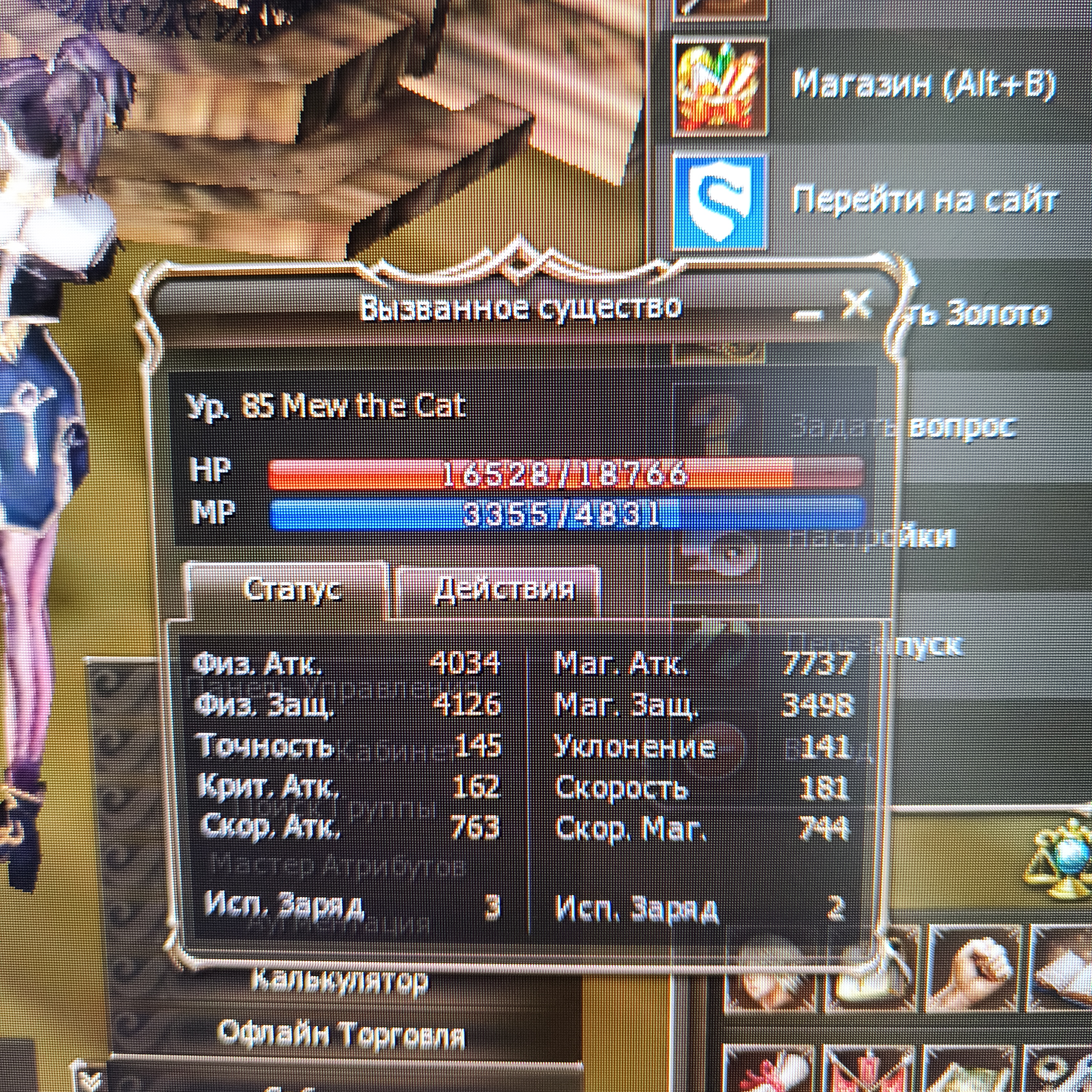 13250.jpg