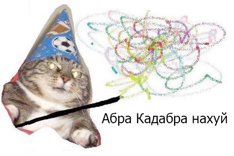 1480604895.jpg