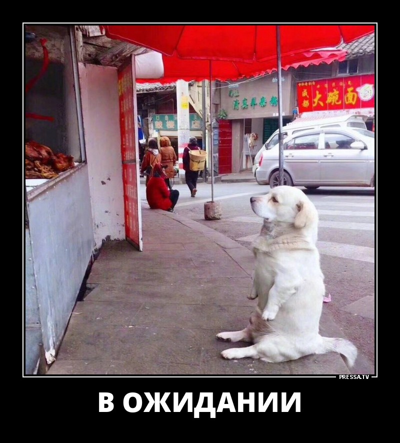 1516063482_d33.jpg