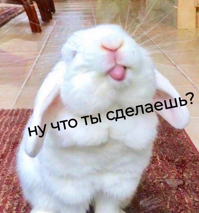 1661763404479.png