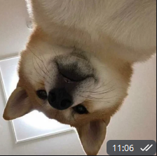 1778573222859.png