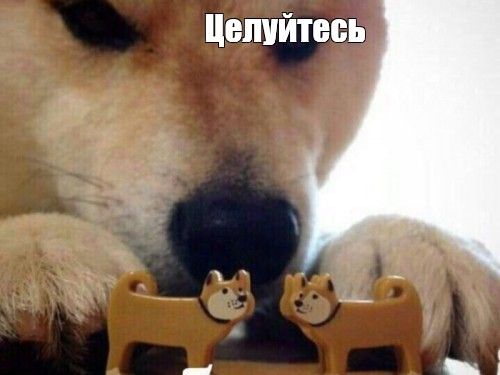 1778655511434.png
