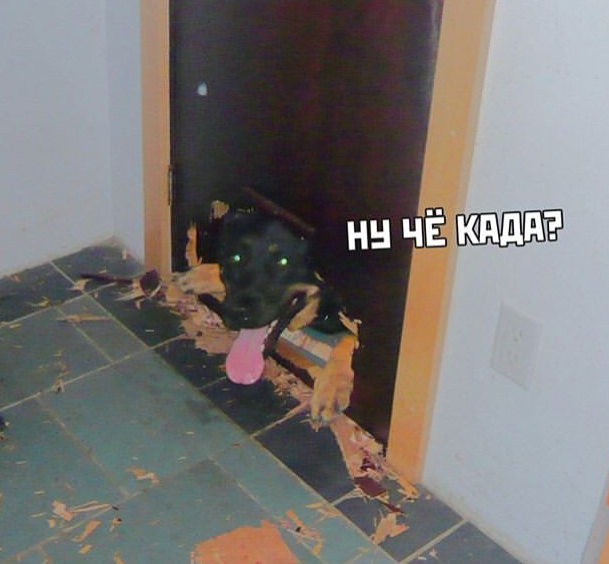 1779271670433.png