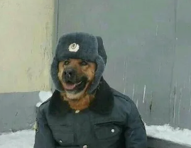 1780213949290.png