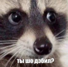 1781540701340.png