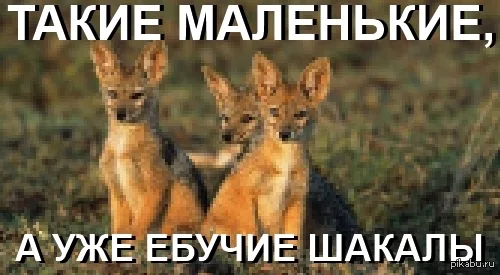 1781676367889.png