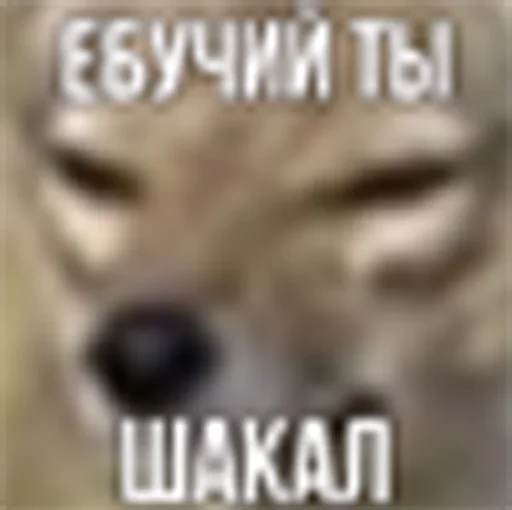 1781677065192.png