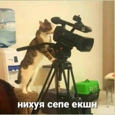 1782807436219.jpeg