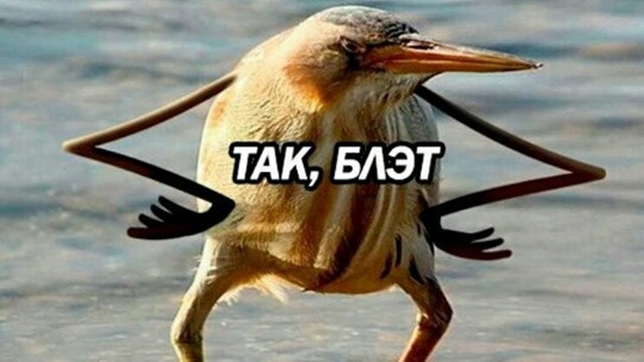 1782822937764.png