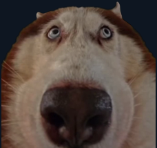 1783616097666.png