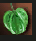 1783931482798.png