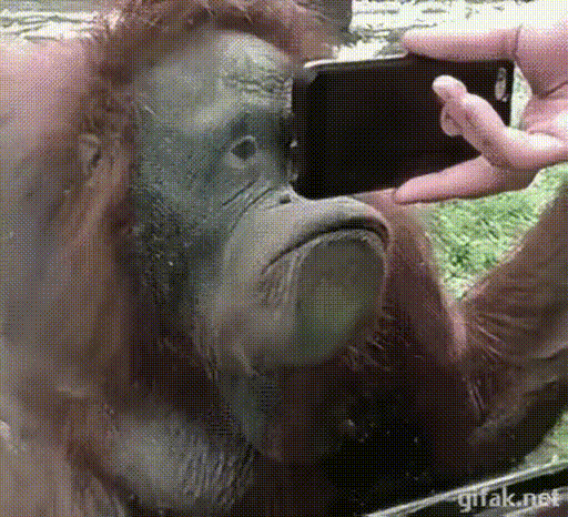 1785627712890.gif