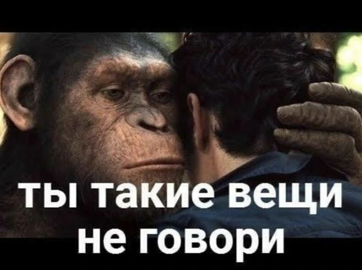 1786828652950.png