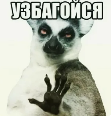 1787992580691.png