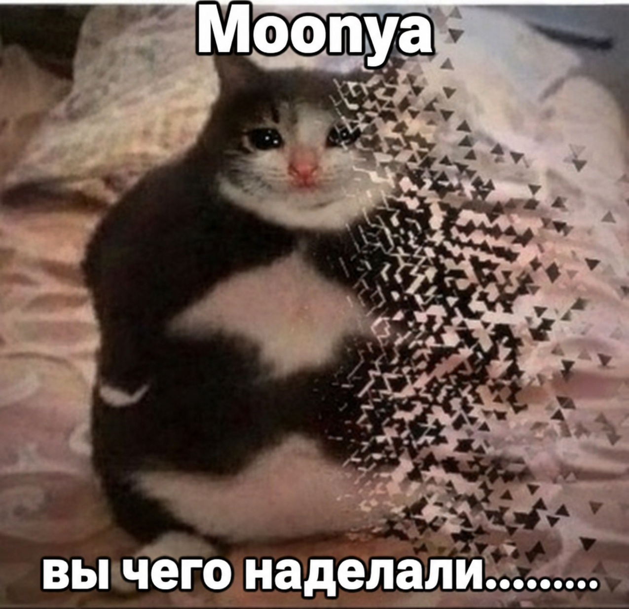 1789771602510.png