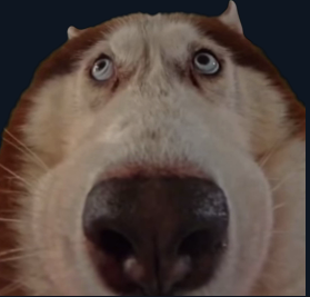 1790520667360.png