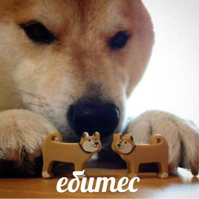 1791269324293.png