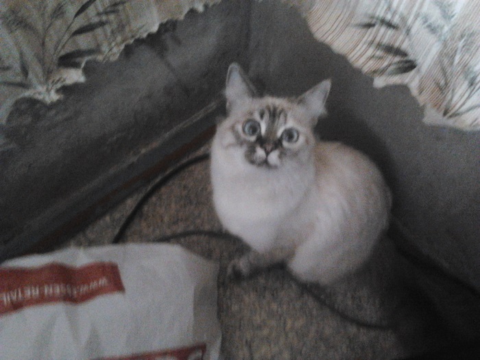 2015-01-22 11.01.13.jpg