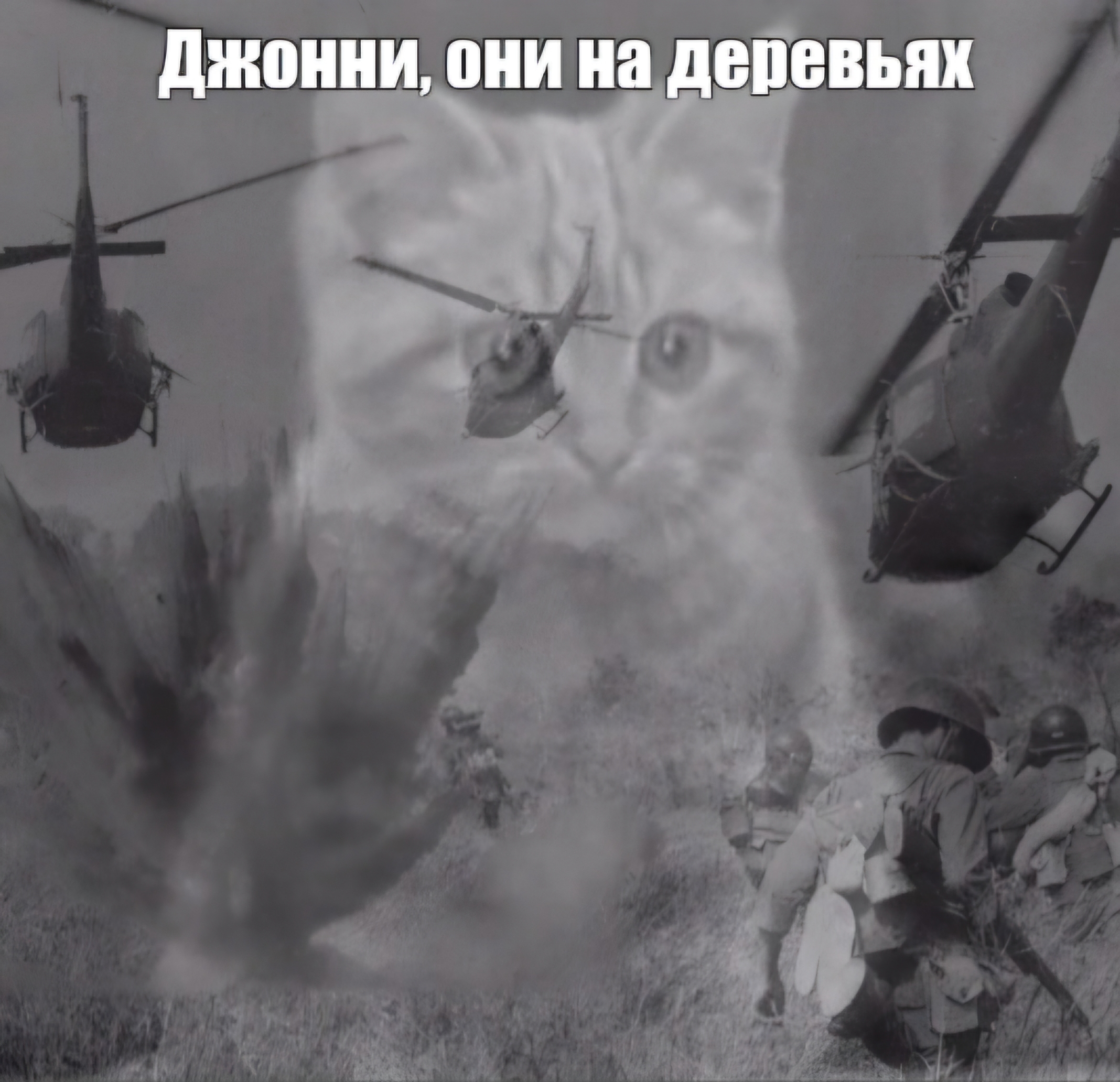 2477.jpg
