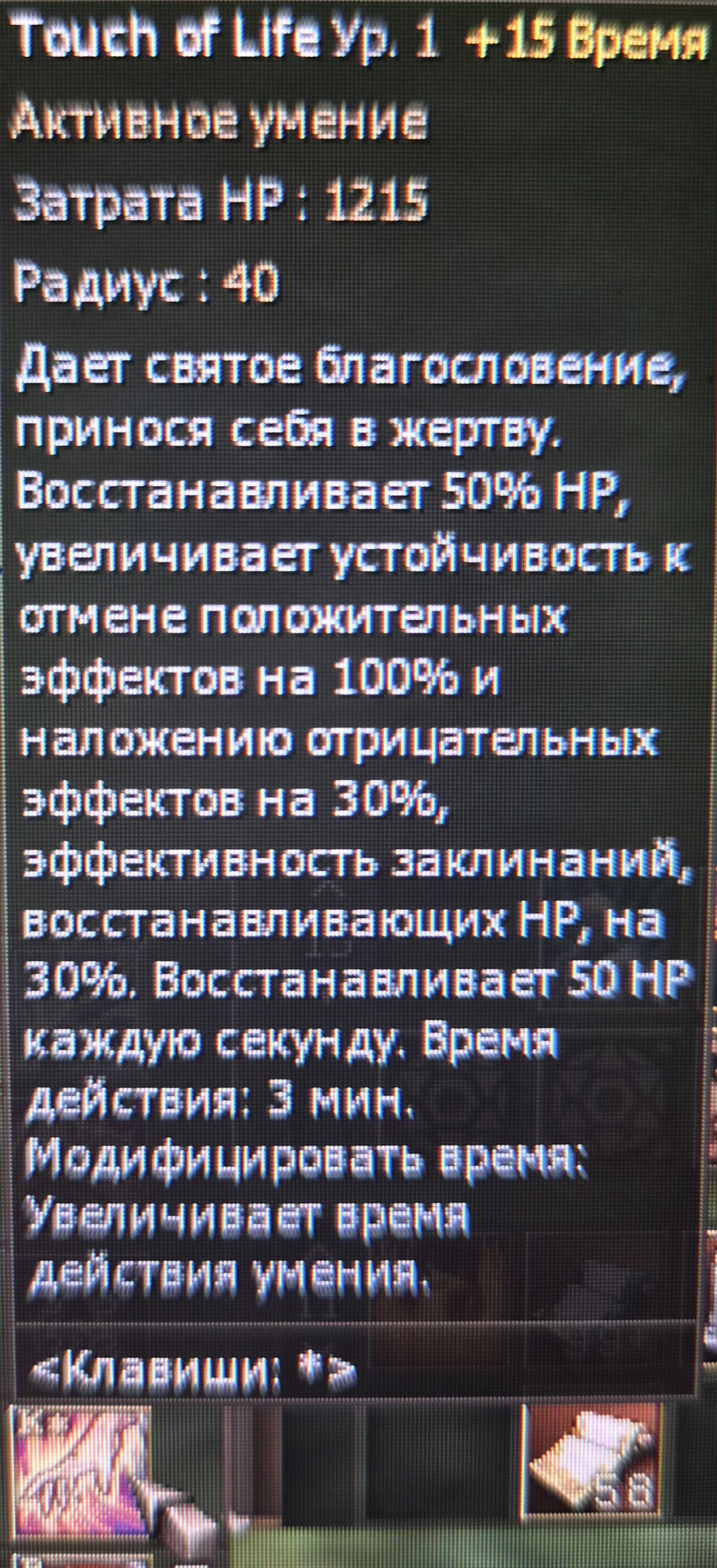 3027.jpg