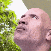3101.gif