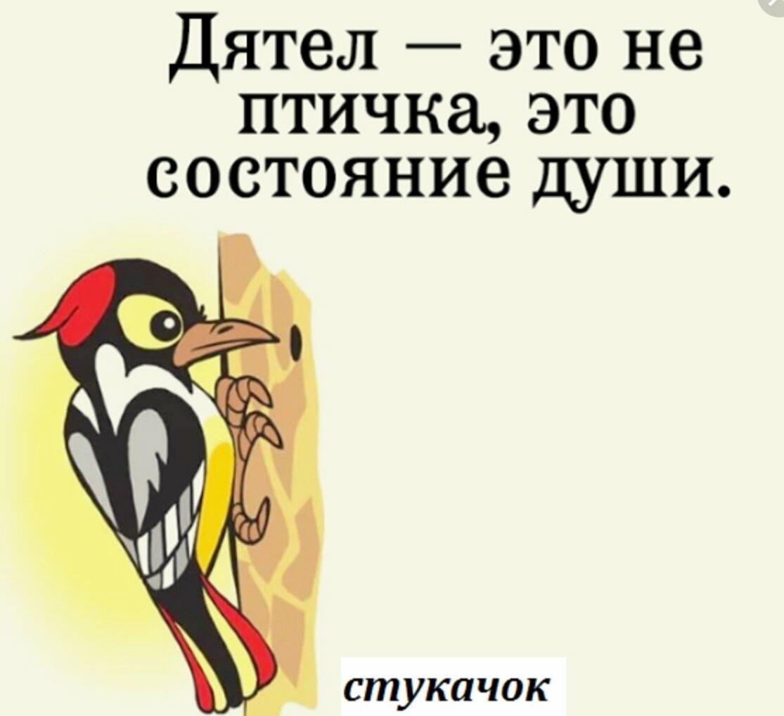 5d2adecdf3e3ff14505069678e5905d7eef312cb.jpeg