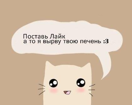 99nH2NP5uiE.jpg
