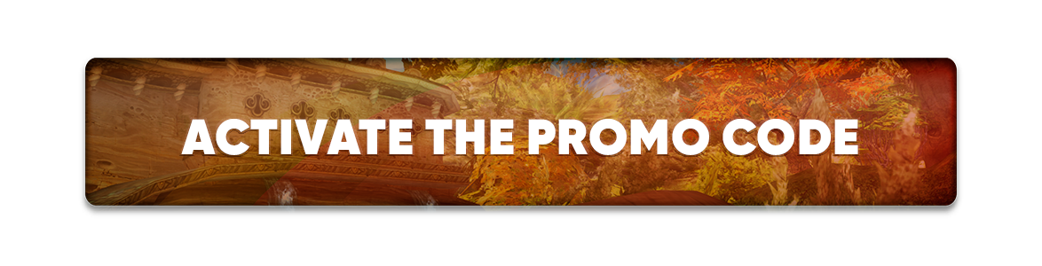 Activate the promo code (1).png
