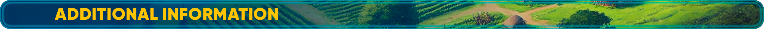Additional Information.png