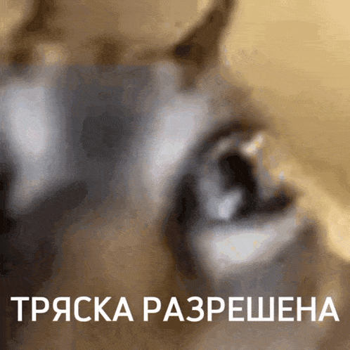 animation.gif.mp4 (1).gif