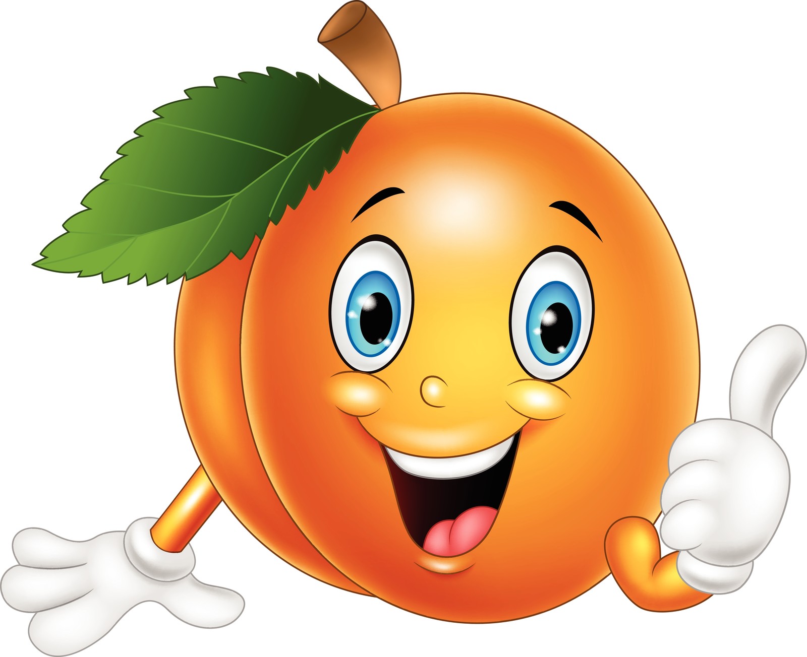 apricot.jpg