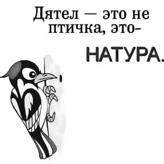 b3008a52e1b7c42f56673d11c57fae11.jpg