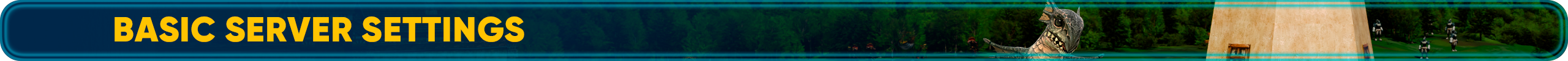 Basic server settings.png