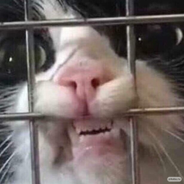 Без названия (1) (7).jpeg