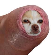 Без названия (1).jpg