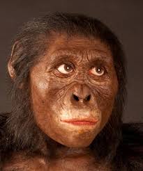 Без названия (3).jpeg