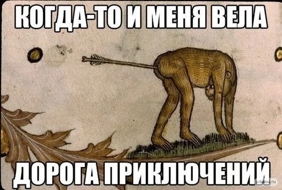 Без названия (31).jpeg