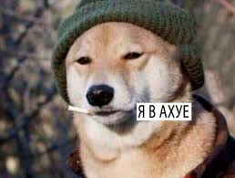 Без названия (5).jpg