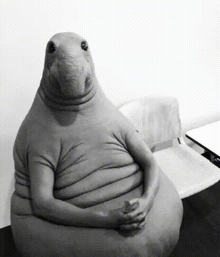 Без названия.gif