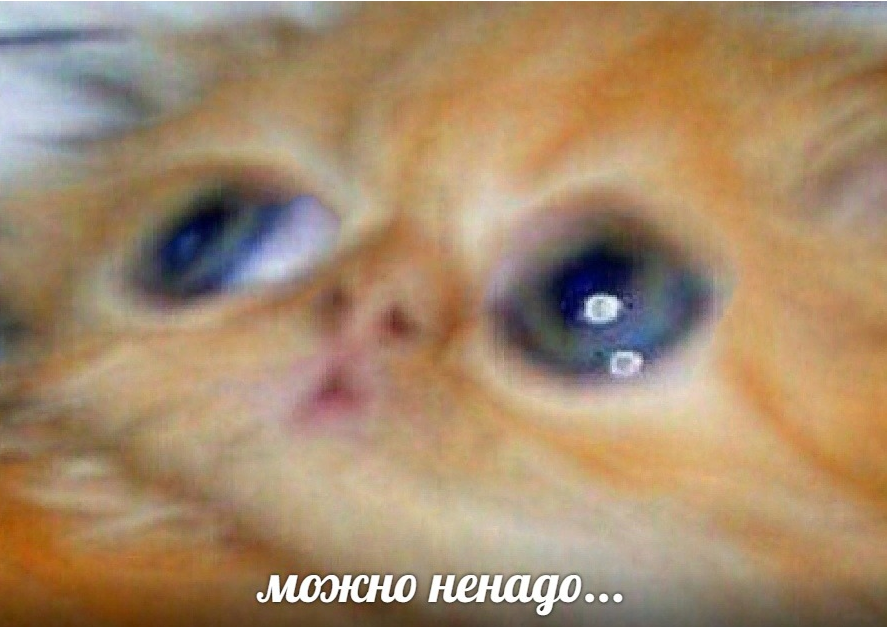 Безымянный.png