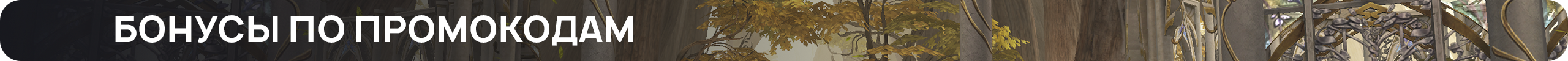 Бонусы-по-промокодам.png