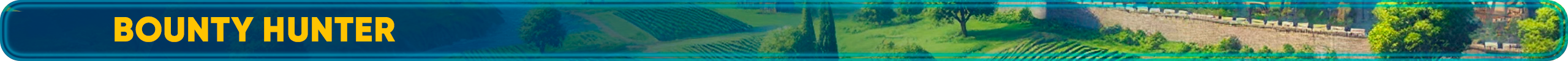 Bounty Hunter.png