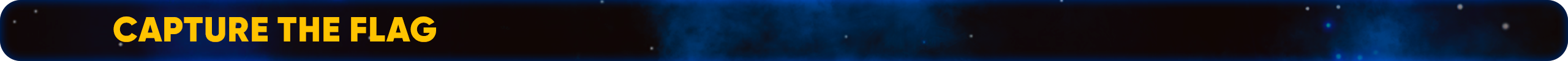 Capture the Flag.png